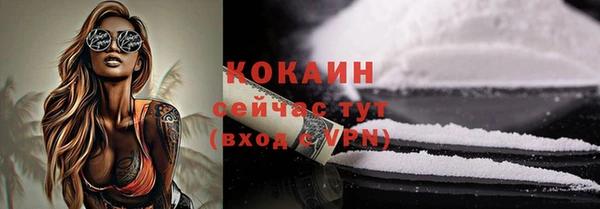 2c-b Горно-Алтайск