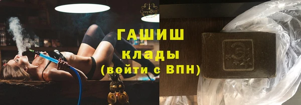 гидра Горнозаводск