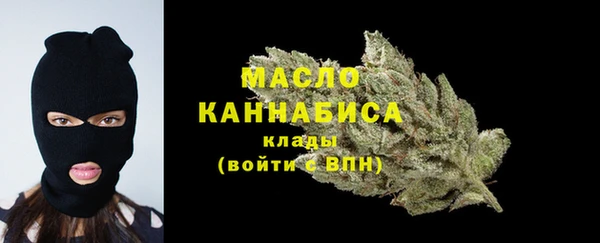 гидра Горнозаводск