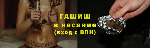 гидра Горнозаводск