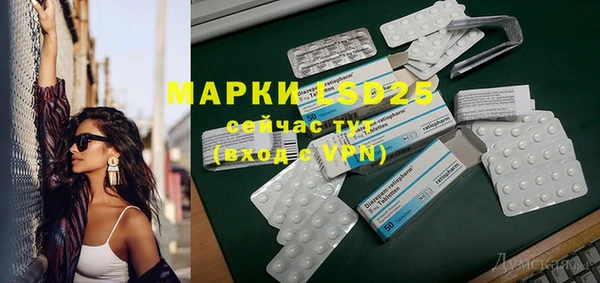 гидра Горнозаводск