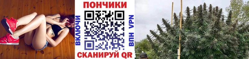 Шишки марихуана SATIVA & INDICA Волхов